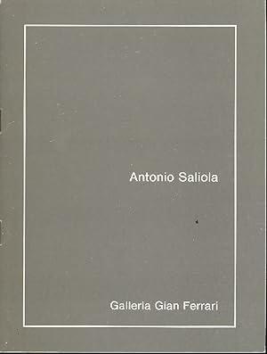 Antonio Saliola. Galleria Gian Ferrari 1984