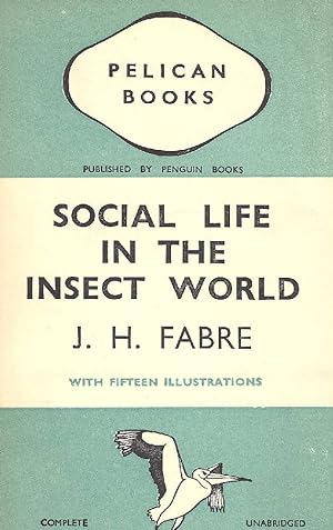 Social life in the insect world