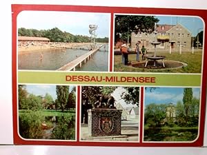 Dessau - Mildensee. Alte Ansichtskarte / Postkarte farbig, gel. 1987. 5 Ansichten in und um die S...