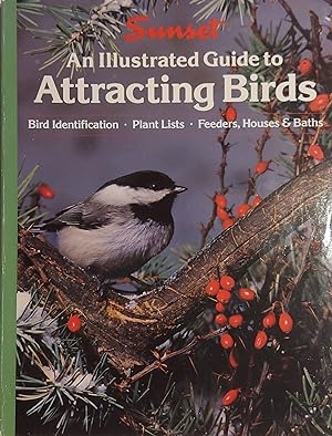 An Illustrated Guide to Attracting Birds