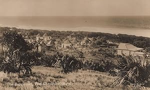 Port Shepstone Bungalows Natal South Africa Old Photo Postcard
