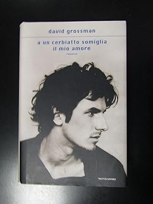 Grossman David. A un cerbiatto somiglia il mio amore. Mondadori 2008.