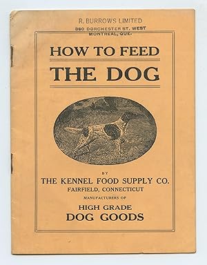 How to Feed The Dog