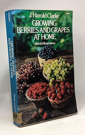 Growing Berries and Grapes at Home