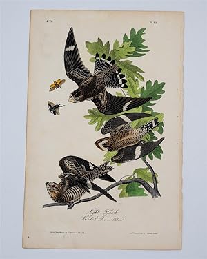 Night Hawk - Plate 43
