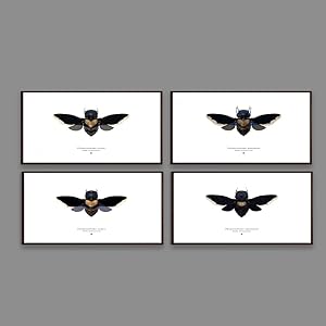 Set of 4 'chiropteranthropos Sp.' Limited Edition Prints