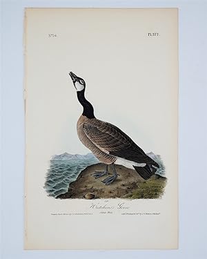 Hutchins's Goose Plate 377