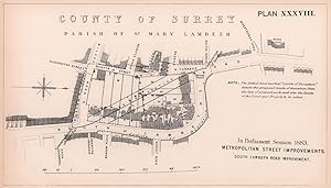 In Parliament session 1883 - Metropolitan Street Improvements. South Lambeth Road Improvement [So...