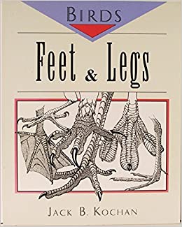 Birds: Feet & Legs, Heads & Eyes, Bills & Mouths (Birds Series, Volumes 1-3)
