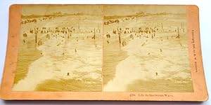 Stereo-Card "Life in the Ocean Wave" 1888. USA.