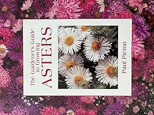 The Gardener's Guide to Growing Asters