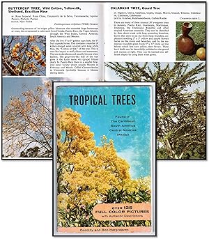 Tropical Trees: Found in The Caribbean, South American, Central America, Mexico