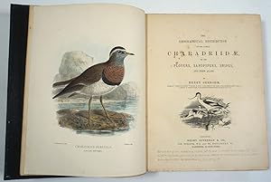 The Geographical Distribution of the Family Charadriidae, or the Plovers, Sandpipers, Snipes and ...