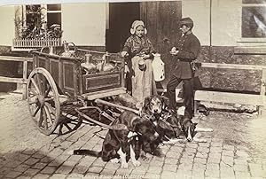 [Vintage photograph, ca 1910] Laitière Flamande (Contravention), Flemish Milkmaid, Antique dog ca...
