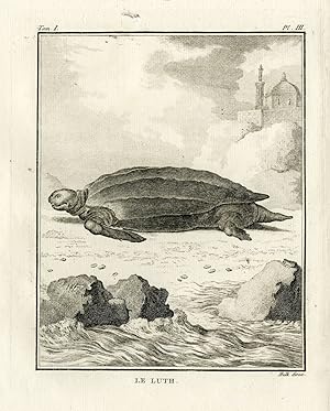Antique Print-LEATHERBACK SEA TURTLE-LUTE-Hulk-Buffon-Lacepede-1799