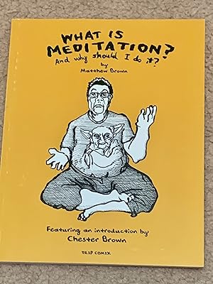 What is Meditation?: And Why Should I Do It?