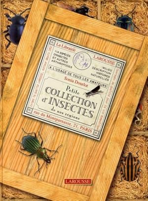Petite collection d'insectes de nos régions