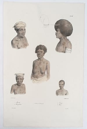 Mambeo, Mangobarac, Femme de Kouaoui, Dorey, Mani.