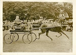 "Concours hippique royal de Richmond 1932 / JIX le vainqueur des poneys attelé à Mr William MILLE...