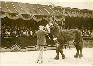 "Mr Paul DOUMER au Concours central hippique Porte de Versailles le 4 Juillet 1931" Photo de pres...