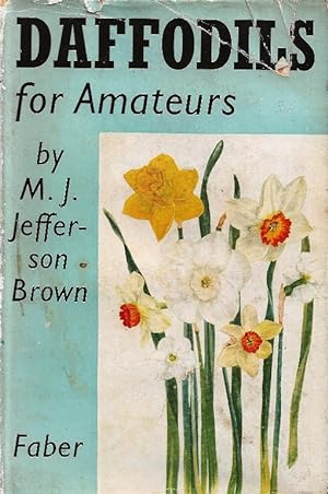 Daffodils for Amateurs