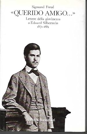 Querido Amigo: Lettere della giovinezza a Eduar Silberstein 1871-1881