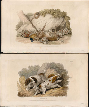 A Collection of color aquatints: British Sports by Howitt from Ackerman's Repository of Arts. Ser...