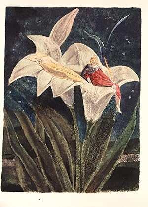 The Song of Los