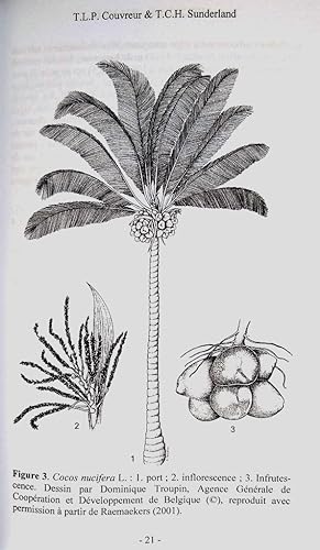 Flore du Cameroun - Part 44 : Arecaceae - Palmae