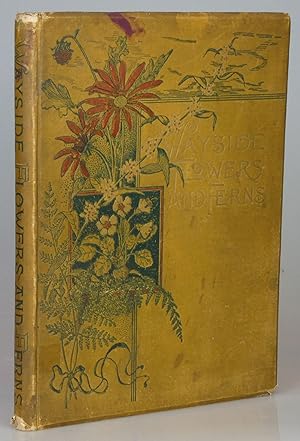 Wayside Flowers and Ferns, from Original Water-Color Drawings