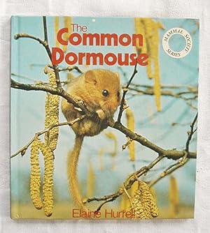 The Common Dormouse.