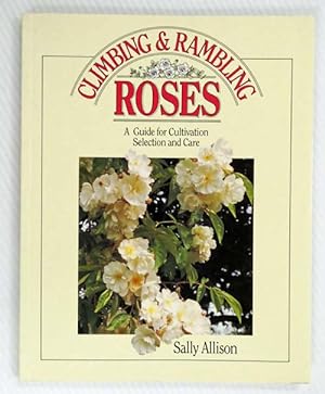 Climbing & Rambling Roses A Guide For Cultivation and Care