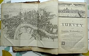 A survey of the cities of London and Westminster, borough of Southwark, and parts adjacent . bein...
