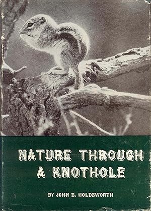 Nature Through A Knothole: A Photographic Study