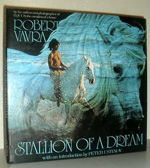 Stallion of a Dream