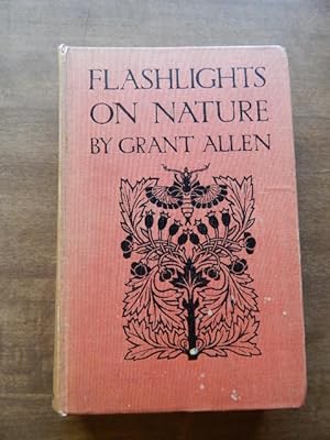 Flashlights On Nature