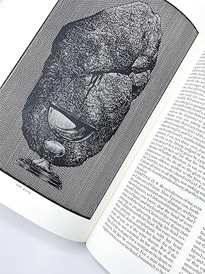 THE HOLY BIBLE: Containing All the Books of the Old and New Testaments