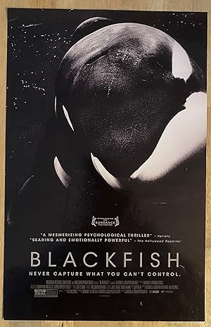 BLACKFISH