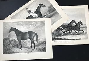 The American Sporting Gallery; Portraits of Horses from Spirit of the Times 1839-1844