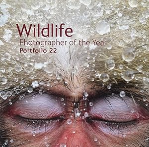 Wildlife Photographer Of The Year Portfolio 22 :