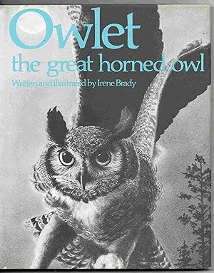 Owlet: The Great Horned Owl