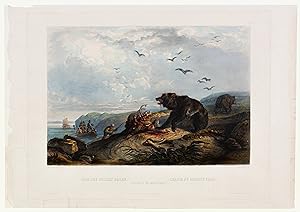 Hunting of the Grizzly Bear (Tab. 36)