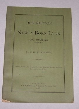 Description of a Newly-Born Lynx, Lynx canadensis (Desm.) Raf. with illustrative Plate