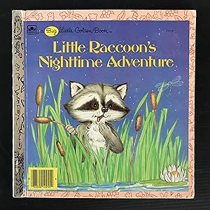 Little Raccoon's Nighttime adventure