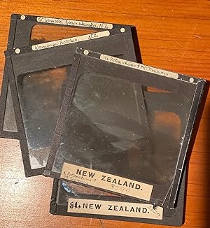 Four glass slides of New Zealand thermal region