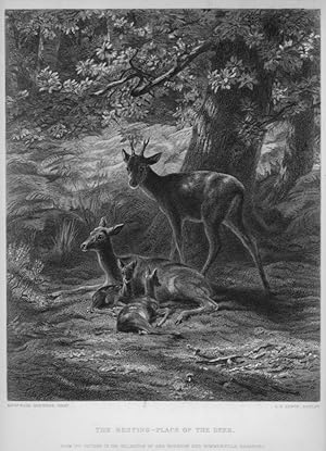 THE RESTING PLACE OF THE DEER After ROSA BONHEUR,1879 Steel Engraving