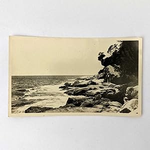 Snapshot Photograph of Rocks, Botany Bay