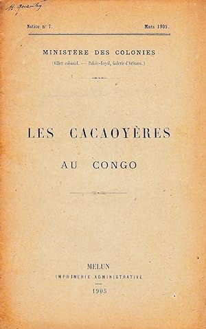 Les cacaoyères au Congo