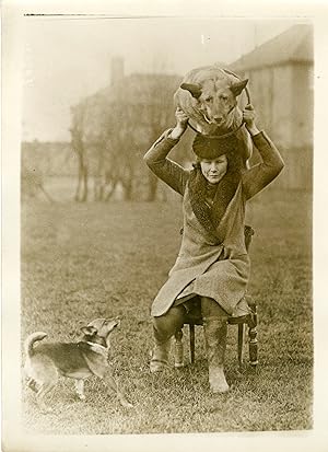 "Miss KELLY entrainant ses chiens Alsaciens" Photo de presse originale par G. DREVED / Agence ROL...