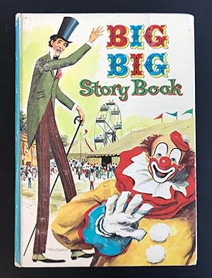 Big Big Story Book